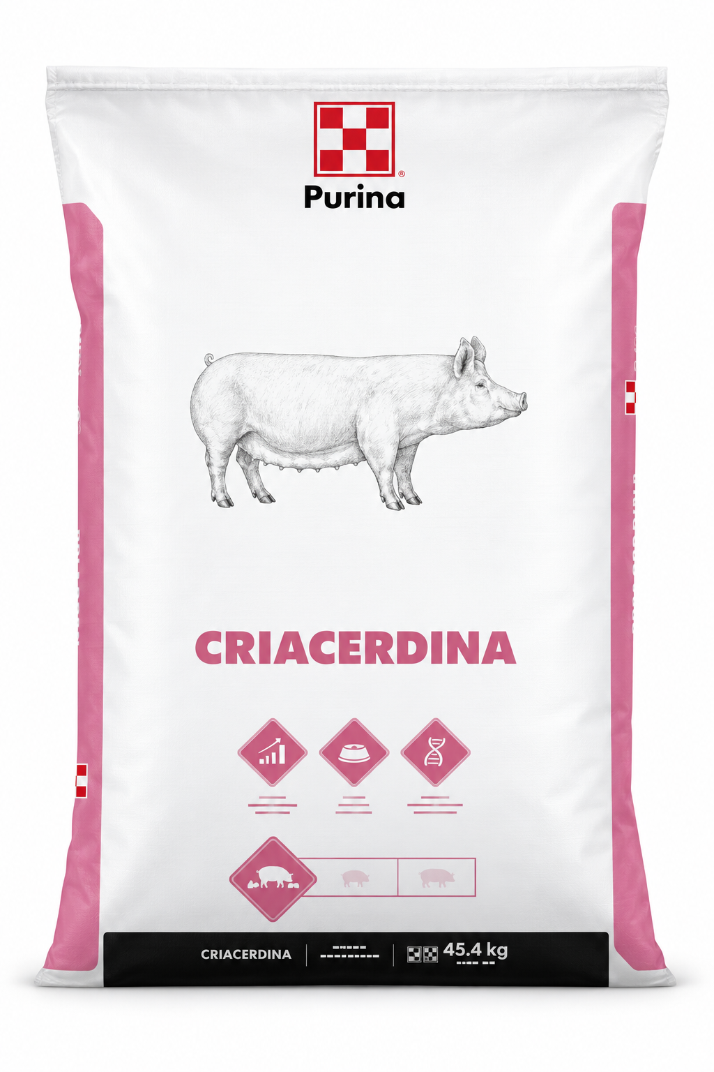 Criacerdina