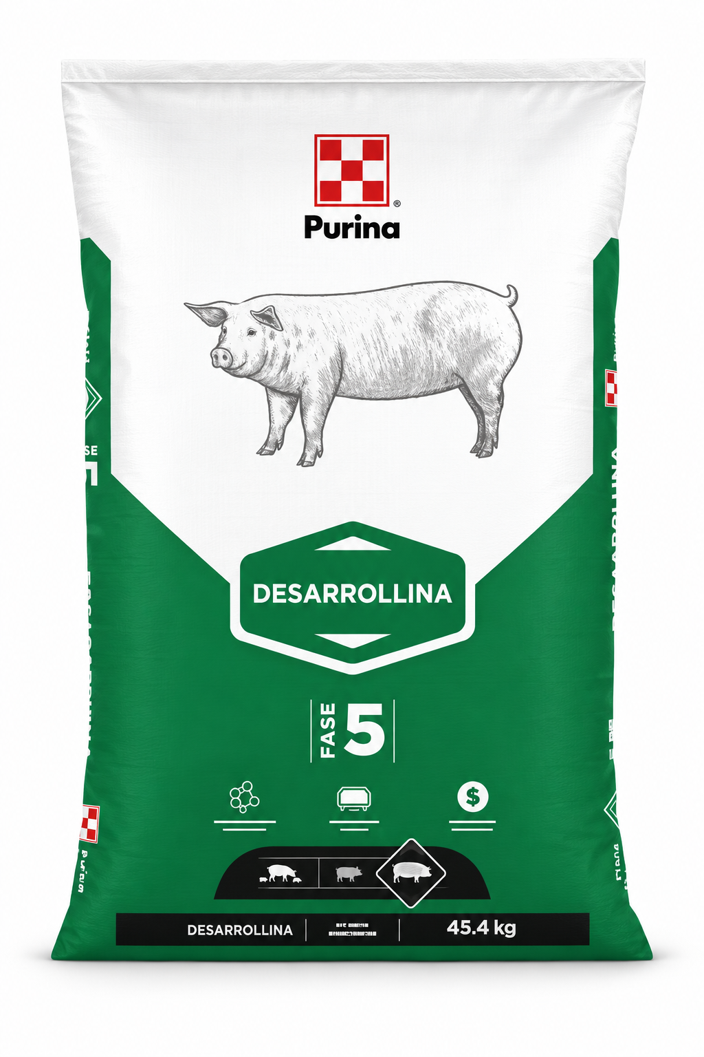 Desarrollina
