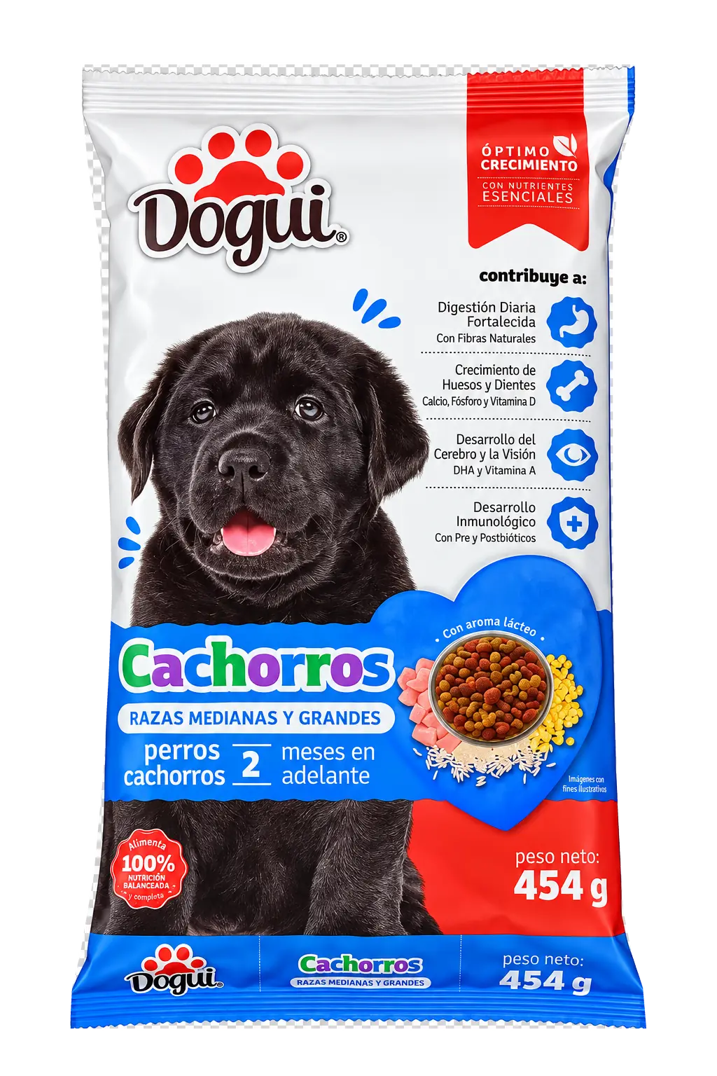 Dogui Cachorros