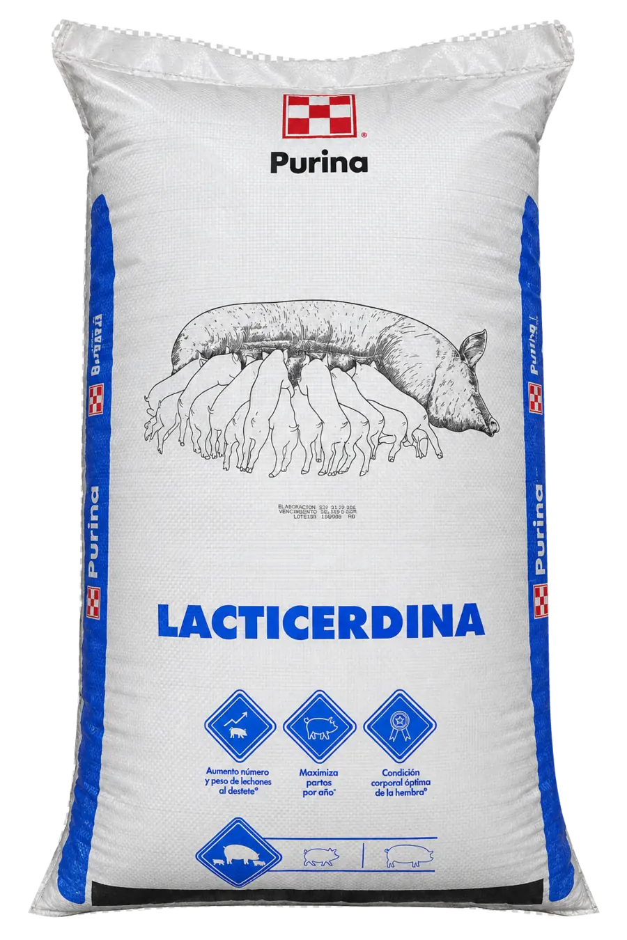 Lacticerdina
