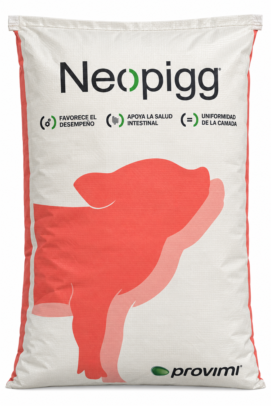 Neopigg 1