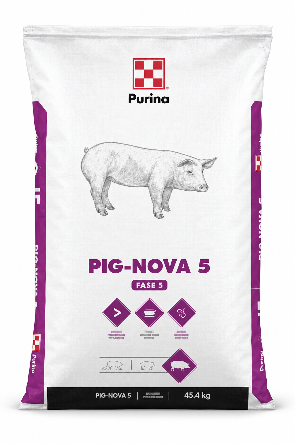 Pig-Nova 5