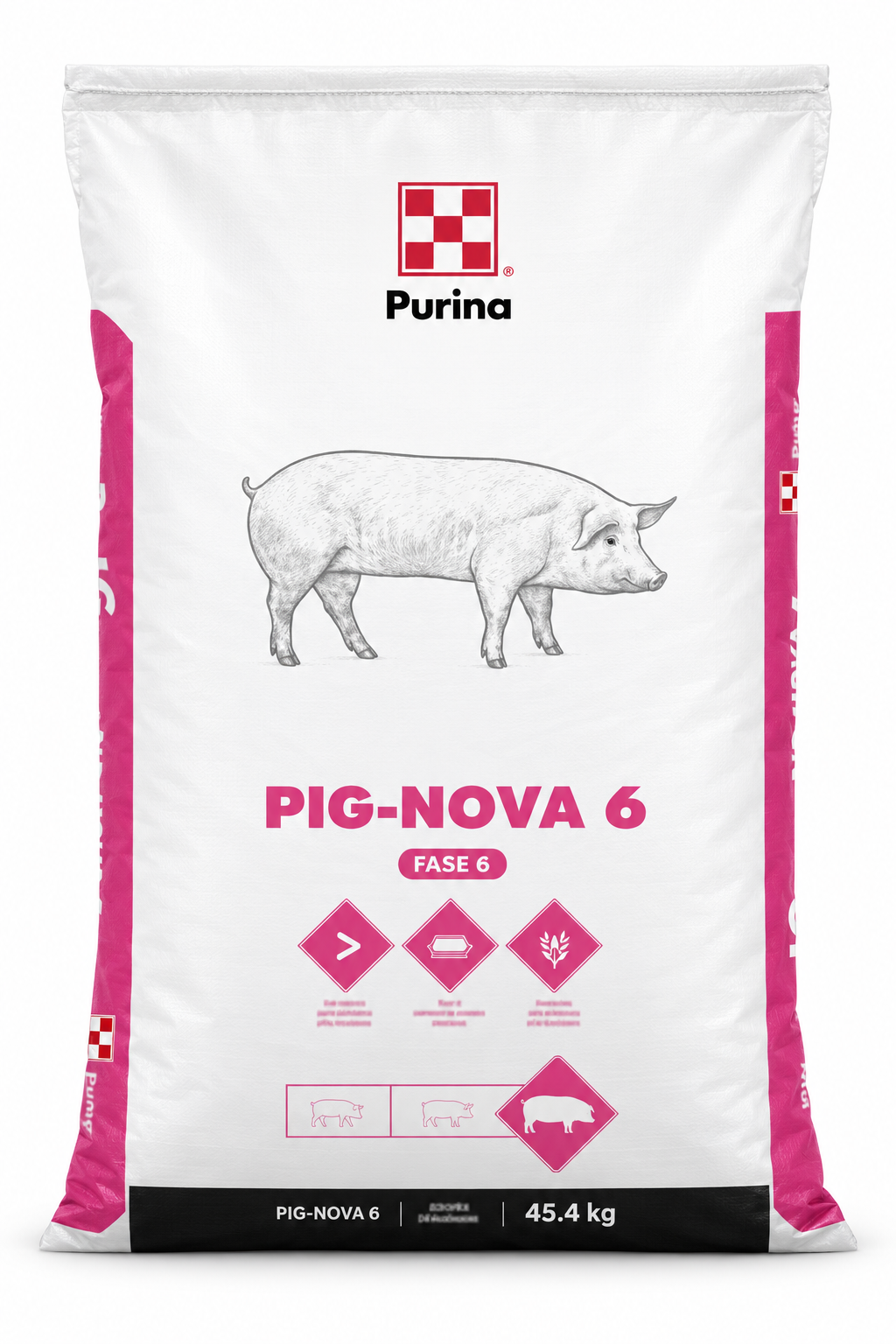 Pig-Nova 6