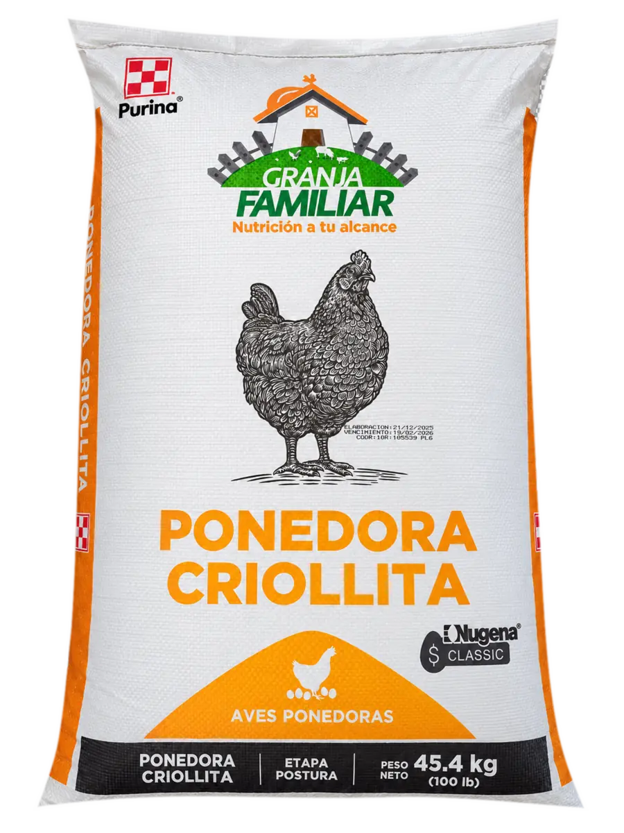Ponedora Criollita