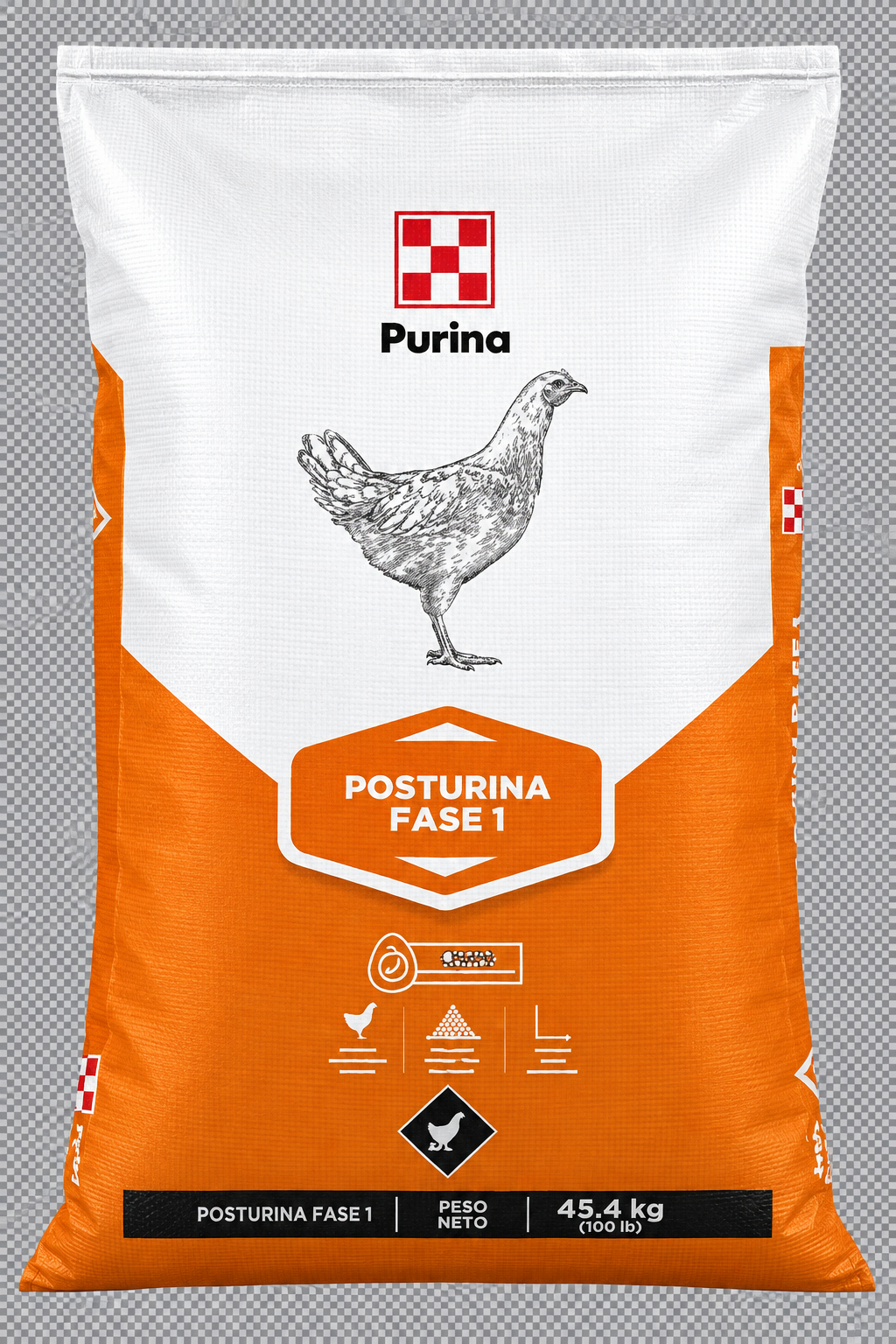 Posturina Fase 1